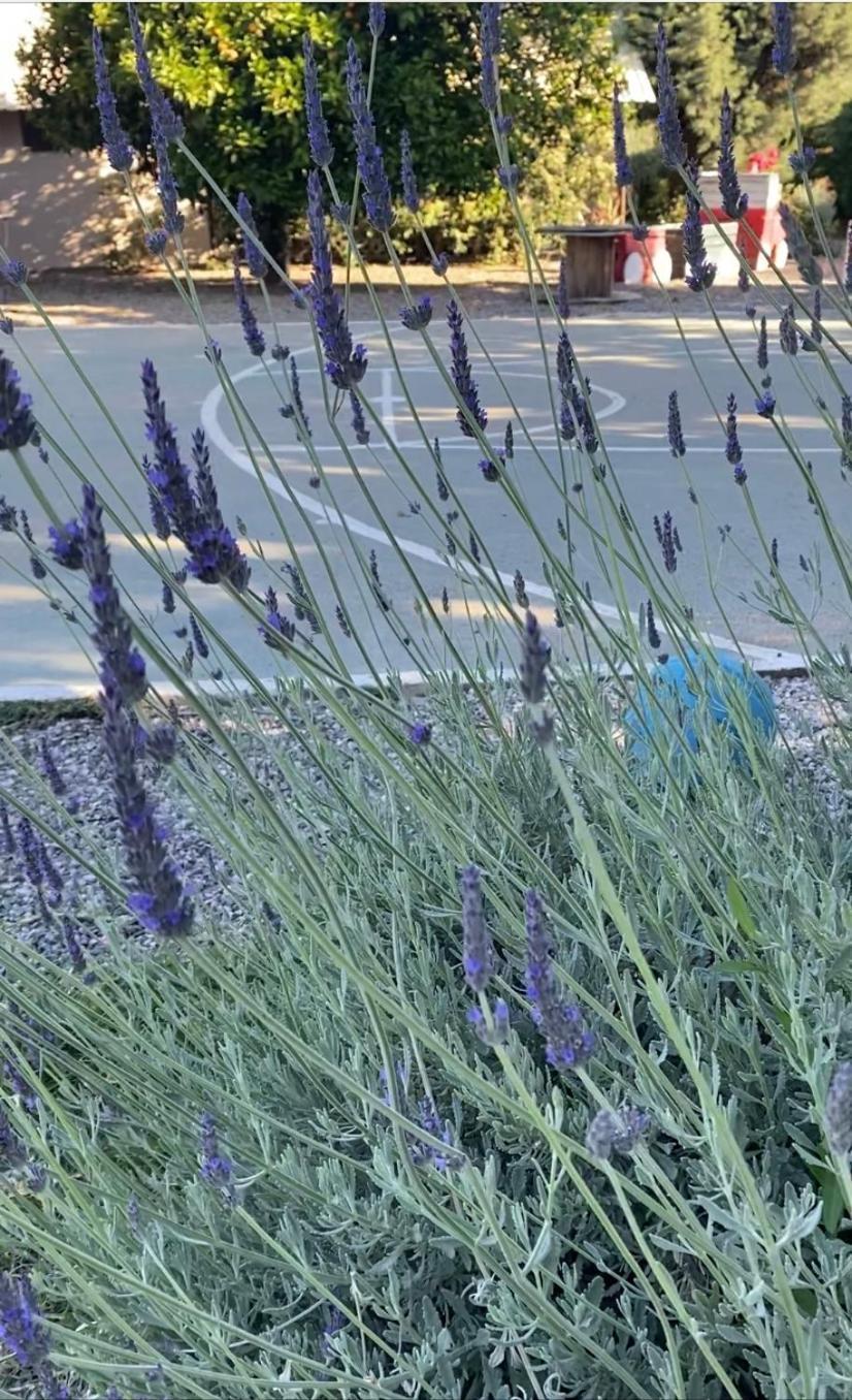 Lavender Farm House Návpaktosz Kültér fotó